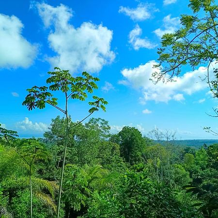 Osa Private Renting House-Villas-Tented-Best Views-Nature-Comfort ปัวร์โตคิมาเนซ ภายนอก รูปภาพ
