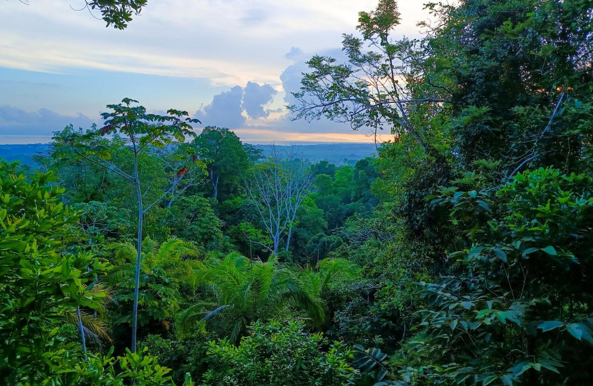 Osa Private Renting House-Villas-Tented-Best Views-Nature-Comfort ปัวร์โตคิมาเนซ ภายนอก รูปภาพ