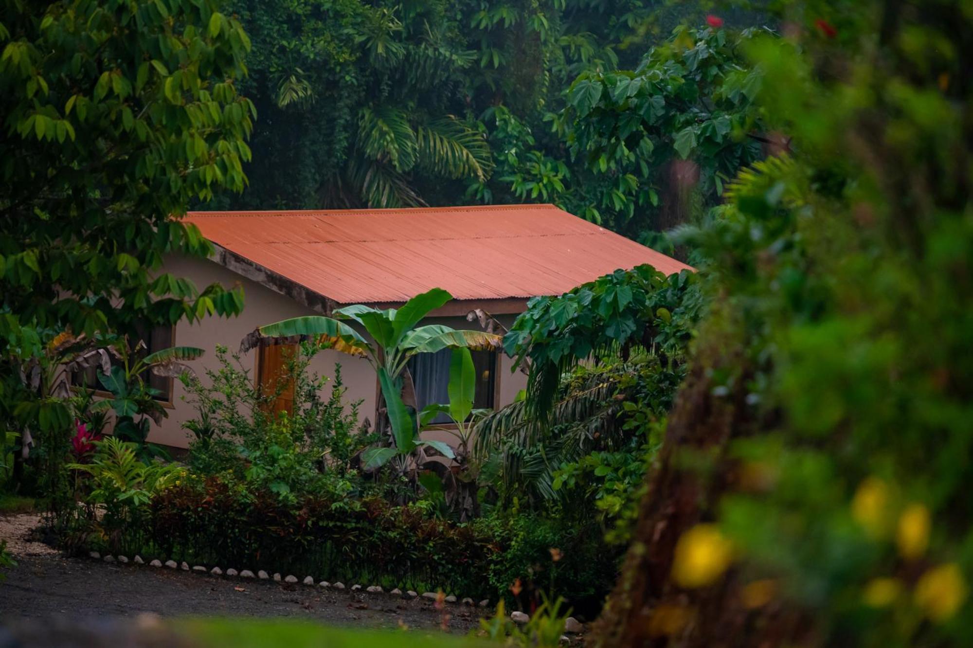 Osa Private Renting House-Villas-Tented-Best Views-Nature-Comfort ปัวร์โตคิมาเนซ ภายนอก รูปภาพ